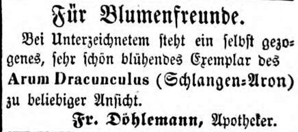 Datei:Döhlemann 1855.jpg