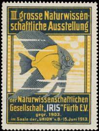 Datei:IRIS-Ausstellung 2.jpg