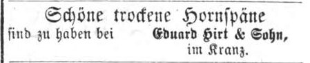 Datei:Hirt Eduard 1868.jpg