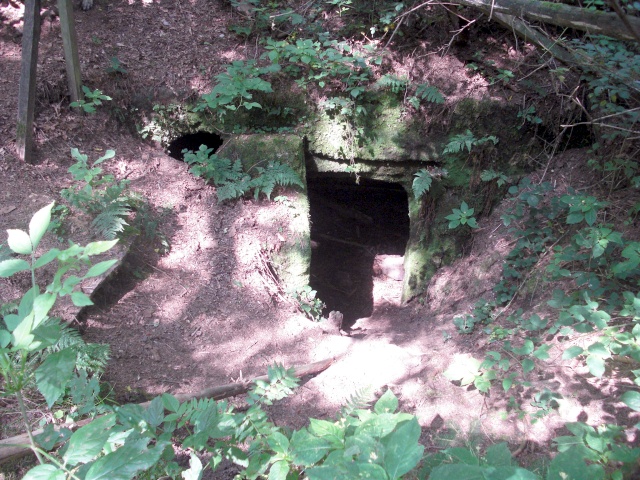 Datei:Stadtwald VIII.jpg