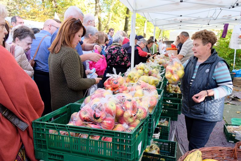 Datei:Apfelmarkt 2017 11.jpg