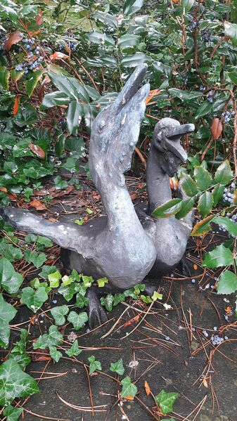 Datei:Kunstmann Pelikanjunge II.jpg