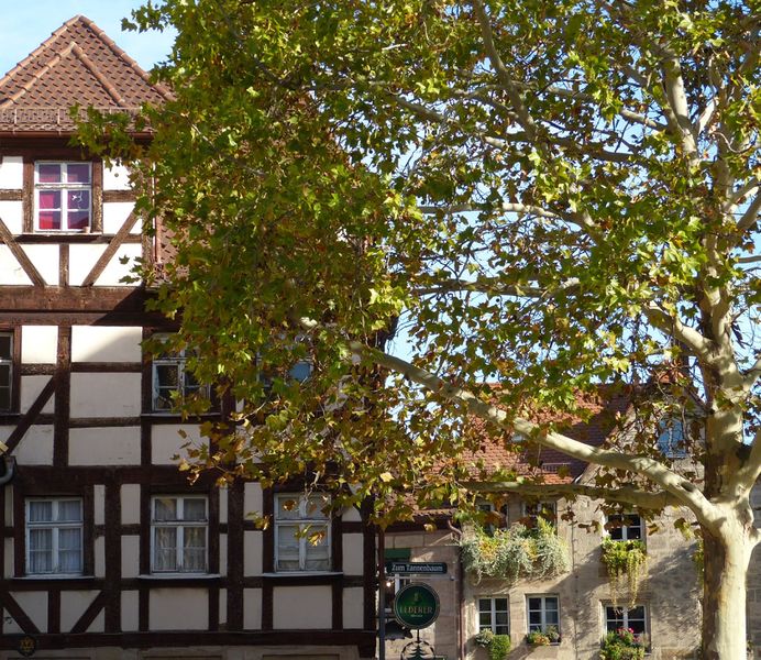 Datei:Zum Tannenbaum seitlich.JPG