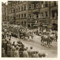 Erntedankfestzug in der Schwabacher Straße, 1956 <span class="smw-highlighter" data-type="8" data-state="inline" data-title="Hinweis" title="Urheber: K. GugelLizenz: CC BY-SA 4.0"><span class="smwtticon note"></span><span class="smwttcontent">Urheber: K. Gugel<br><br>Lizenz: CC BY-SA 4.0</span></span>