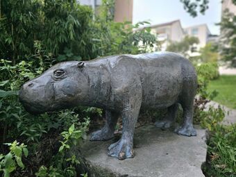 2025 08 23 Elsbeth.jpg