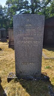 David Warszawski.jpg