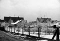 Blick von der Östl. Waldringstraße 17 Richtung Süden zur Häuserzeile Eibenstraße, ca. 1960 <span class="smw-highlighter" data-type="8" data-state="inline" data-title="Hinweis" title="Urheber: Norbert PietschLizenz: CC BY-SA 3.0"><span class="smwtticon note"></span><span class="smwttcontent">Urheber: Norbert Pietsch<br><br>Lizenz: CC BY-SA 3.0</span></span>
