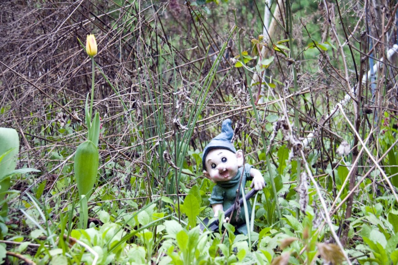 Datei:Pechhüttn 9.jpg