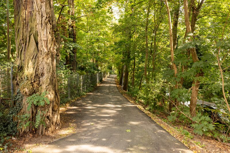 Datei:Fritz-Mailaender-Weg Aug 2024.jpg