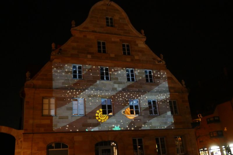 Datei:Glanzlichter 2019 Schwan W2.JPG