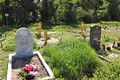 Muslimisches Grabfeld auf dem Hauptfriedhof, Mai 2020 <span class="smw-highlighter" data-type="8" data-state="inline" data-title="Hinweis" title="Urheber: Norbert PietschLizenz: CC BY-SA 3.0"><span class="smwtticon note"></span><span class="smwttcontent">Urheber: Norbert Pietsch<br><br>Lizenz: CC BY-SA 3.0</span></span>