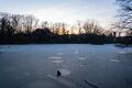 Stadtparkweiher im Winter - mit dünner Eisschicht, Dez 2024 <span class="smw-highlighter" data-type="8" data-state="inline" data-title="Hinweis" title="Urheber: Kamran SalimiLizenz: CC BY-SA 4.0"><span class="smwtticon note"></span><span class="smwttcontent">Urheber: <!--LINK'" 0:5--><br><br>Lizenz: CC BY-SA 4.0</span></span>