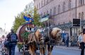 Erntedankfestzug 2023 - Gambrinus-Wagen mit 2 Pferden der Brauerei Tucher, Okt. 2023 <span class="smw-highlighter" data-type="8" data-state="inline" data-title="Hinweis" title="Urheber: Kamran SalimiLizenz: CC BY-SA 3.0"><span class="smwtticon note"></span><span class="smwttcontent">Urheber: <!--LINK'" 0:6--><br><br>Lizenz: CC BY-SA 3.0</span></span>