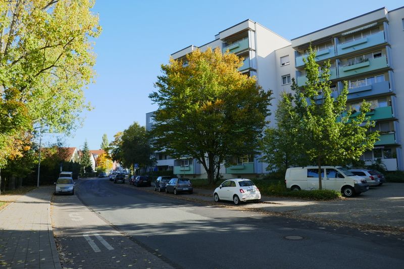 Datei:Finkenschlag 10 2019 1.JPG