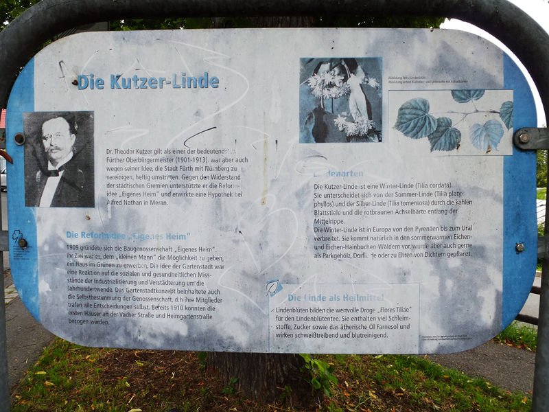 Datei:Tafel Kutzerlinde.jpg