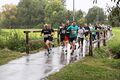 Firmenlauf 2024 <span class="smw-highlighter" data-type="8" data-state="inline" data-title="Hinweis" title="Urheber: Kamran SalimiLizenz: CC BY-SA 4.0"><span class="smwtticon note"></span><span class="smwttcontent">Urheber: <!--LINK'" 0:958--><br><br>Lizenz: CC BY-SA 4.0</span></span>