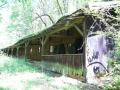 Hölzerne Liegehalle im Wald - Vorderansicht (nach Süden) - Juni <!--LINK'" 0:27-->. <span class="smw-highlighter" data-type="8" data-state="inline" data-title="Hinweis" title="Urheber: Renate TrautweinLizenz: CC BY-SA 3.0"><span class="smwtticon note"></span><span class="smwttcontent">Urheber: <!--LINK'" 2:28--><br><br>Lizenz: CC BY-SA 3.0</span></span>