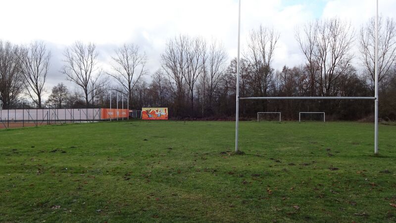 Datei:MTV Stadeln Timberwolves2.JPG