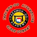 Logo: Taekwon-Do Academy Fürth <span class="smw-highlighter" data-type="8" data-state="inline" data-title="Hinweis" title="Urheber: Taekwon-Do Academy FürthLizenz: copyright"><span class="smwtticon note"></span><span class="smwttcontent">Urheber: <!--LINK'" 0:644--><br><br>Lizenz: copyright</span></span>
