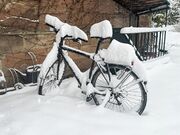 Neuschnee Jan 2026.jpg