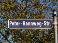 Straßenschild Peter-Hannweg-Straße <span class="smw-highlighter" data-type="8" data-state="inline" data-title="Hinweis" title="Urheber: BaringelLizenz: CC BY-SA 3.0"><span class="smwtticon note"></span><span class="smwttcontent">Urheber: <!--LINK'" 2:1075--><br><br>Lizenz: CC BY-SA 3.0</span></span>
