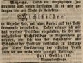 Lichtbilder 1846.JPG
