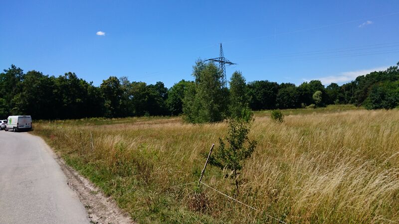 Datei:Stadelner Hard 2022.JPG