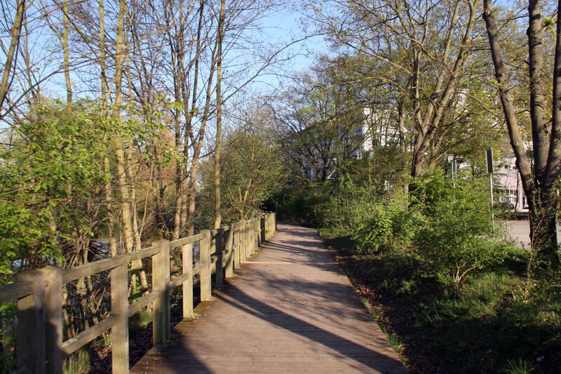 Datei:Frog-Steg April 2017 2.jpg