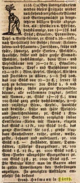 Datei:SamenHofmann 1836.JPG