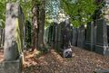 Alter Jüdischer Friedhof im September 2024 <span class="smw-highlighter" data-type="8" data-state="inline" data-title="Hinweis" title="Urheber: Claus W. VoglLizenz: CC BY-SA 4.0"><span class="smwtticon note"></span><span class="smwttcontent">Urheber: <!--LINK'" 0:322--><br><br>Lizenz: CC BY-SA 4.0</span></span>