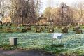 Das Ehrengrabfeld auf dem Städtischen Friedhof, Jan 2025 <span class="smw-highlighter" data-type="8" data-state="inline" data-title="Hinweis" title="Urheber: Kamran SalimiLizenz: CC BY-SA 4.0"><span class="smwtticon note"></span><span class="smwttcontent">Urheber: <!--LINK'" 0:4--><br><br>Lizenz: CC BY-SA 4.0</span></span>