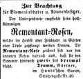 Zeitungsanzeige Gärtner Trumm im "Hundt´schen Garten", Oktober 1856 <span class="smw-highlighter" data-type="8" data-state="inline" data-title="Hinweis" title="Lizenz: NoC-NC 1.0"><span class="smwtticon note"></span><span class="smwttcontent">Lizenz: NoC-NC 1.0</span></span>