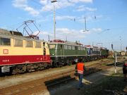 Festival 2007.28.jpeg