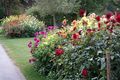 Dahlienallee im unteren Stadtpark <span class="smw-highlighter" data-type="8" data-state="inline" data-title="Hinweis" title="Urheber: GießmadlaLizenz: CC BY-SA 3.0"><span class="smwtticon note"></span><span class="smwttcontent">Urheber: Gießmadla<br><br>Lizenz: CC BY-SA 3.0</span></span>