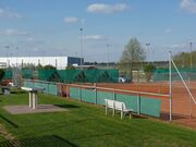 2017 TSV Tennis 5.JPG