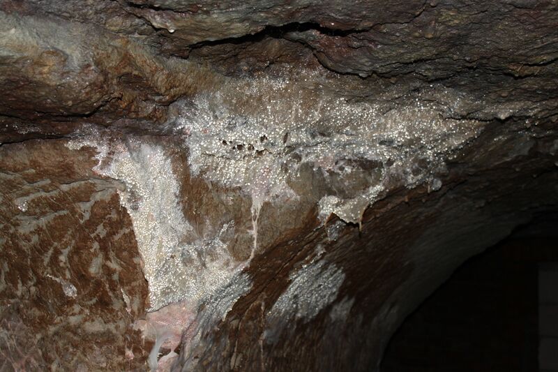 Datei:Mariensteigstollen 4.JPG