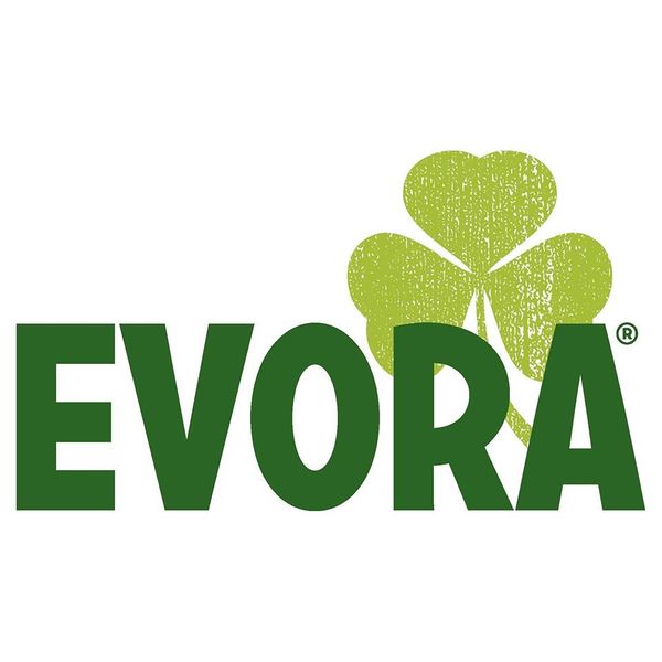 Datei:Evora Logo 2017.jpg