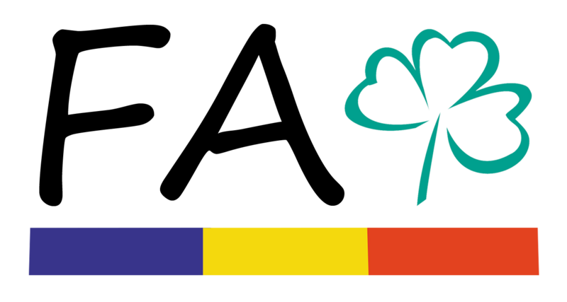 Datei:FA Fürth final.png