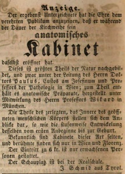 Datei:Anatomisches Kabinett 1850.JPG