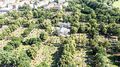 Städtischer Friedhof an der Erlanger Straße, Juni 2025 <span class="smw-highlighter" data-type="8" data-state="inline" data-title="Hinweis" title="Urheber: Kamran SalimiLizenz: CC BY-SA 4.0"><span class="smwtticon note"></span><span class="smwttcontent">Urheber: <!--LINK'" 0:29--><br><br>Lizenz: CC BY-SA 4.0</span></span>
