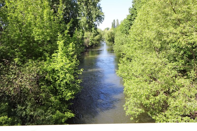 Datei:Rednitz 2020.jpg