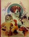 Zoologischer Bilderatlas mit Texten von Hans Wildensinn. <a class="mw-selflink selflink">Bilderbücherfabrik Löwensohn</a>, um 1910 <span class="smw-highlighter" data-type="8" data-state="inline" data-title="Hinweis" title="Urheber: Hans WildensinnLizenz: CC BY-SA 3.0"><span class="smwtticon note"></span><span class="smwttcontent">Urheber: <!--LINK'" 0:49--><br><br>Lizenz: CC BY-SA 3.0</span></span>
