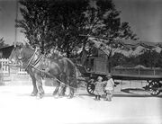 53 NL-FW Hautsch Vogel.jpg