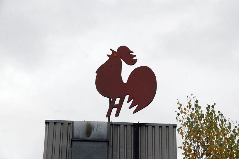 Datei:Hansa 11 Hahn 2.jpg