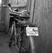 Fahrrad des Fahrradhandel Reil.jpeg