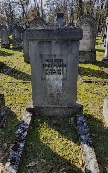 Datei:Walter Treumann, Grabstein.jpg