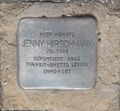 Stolperstein Jenny Hirschmann (Hüttenbach,Haunachstraße 50) <span class="smw-highlighter" data-type="8" data-state="inline" data-title="Hinweis" title="Urheber: Alexander MayerLizenz: CC BY-SA 3.0"><span class="smwtticon note"></span><span class="smwttcontent">Urheber: <!--LINK'" 0:13--><br><br>Lizenz: CC BY-SA 3.0</span></span>