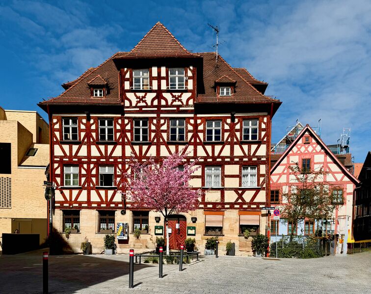 Datei:Tannenbaum 2025.jpeg