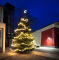 Weihnachtsbaum zwischen den Gebäuden <!--LINK'" 0:173--> und der Abstellhalle ... <span class="smw-highlighter" data-type="8" data-state="inline" data-title="Hinweis" title="Weihnachtsbaum zwischen den Gebäuden Bürgeramt Nord und der Abstellhalle Freiwillige Feuerwehr Fürth-Stadeln im Dezember 2024.Urheber: Petra WegerLizenz: CC BY-SA 3.0"><span class="smwtticon note"></span><span class="smwttcontent">Weihnachtsbaum zwischen den Gebäuden <!--LINK'" 0:174--> und der Abstellhalle <!--LINK'" 0:175--> im Dezember <!--LINK'" 0:176-->.<br>Urheber: Petra Weger<br><br>Lizenz: CC BY-SA 3.0</span></span>