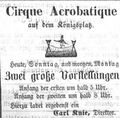 "Cirque Acrobatique" auf dem Königsplatz, Juli 1854 <span class="smw-highlighter" data-type="8" data-state="inline" data-title="Hinweis" title="Lizenz: NoC-NC 1.0"><span class="smwtticon note"></span><span class="smwttcontent">Lizenz: NoC-NC 1.0</span></span>